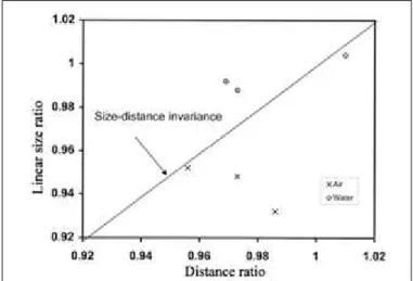 Figure 7 - The ratios of judged to true linear size as a function of the ratios of judged to true distance in air or judged to optical distance in water