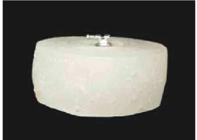 FIGURA 4 - Cilindro acrílico com o corpo de prova em cerâmica adapta- adapta-do com resina acrílica