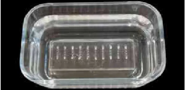 FIGURA 4 - Placa de resina acrílica submersa em saliva artificial.