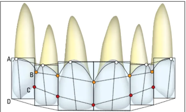 FIGURA 4 - As seis linhas horizontais do sorriso: Linha cervical (A); Linha  papilar (B); Linha dos pontos de contato (C); Linha incisal (D); Linha do  lábio superior (E) e Linha do lábio inferior (F).
