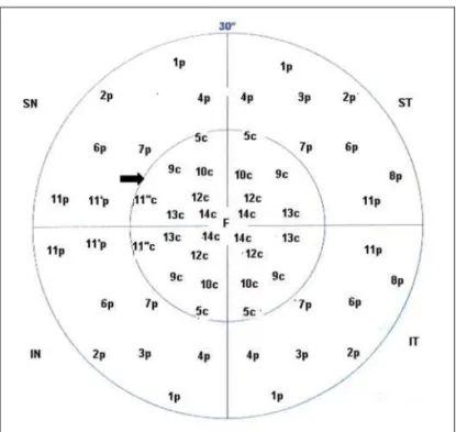 Figure 2 illustrates the mean CFF value and standard de- de-viation for each tested point in the study population