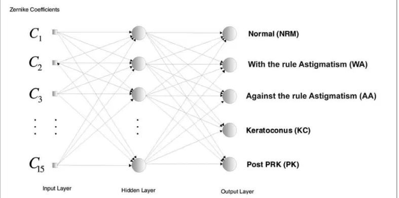 Figure 2 - NN implemented for classification of VK examinations