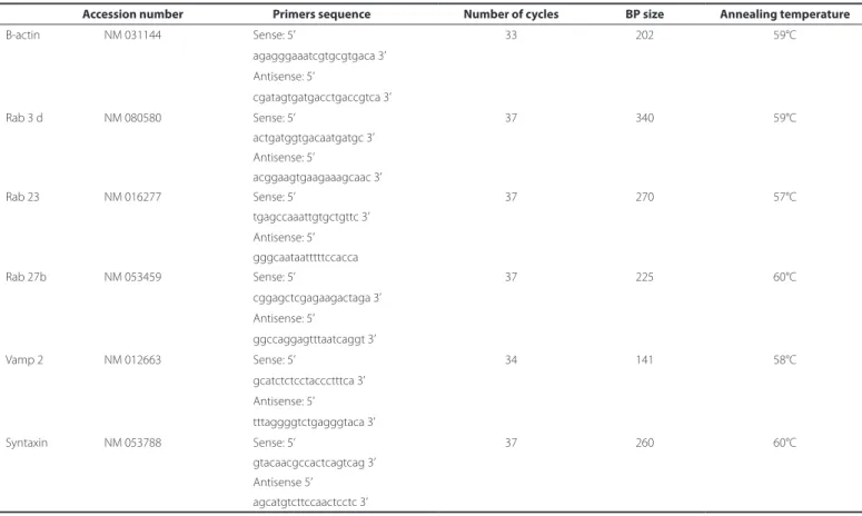 Table 1. RT-PCR primers and parameters for SNARE and Rab mRNA detection in LG. of control, DM, and insulin-treated DM rats
