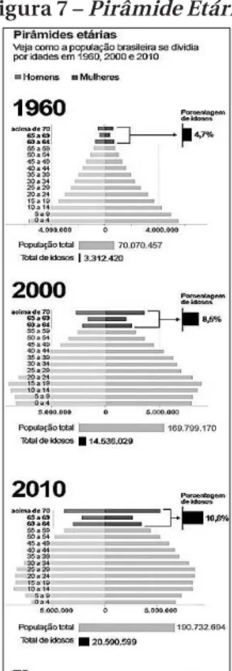 Figura 7 – Pirâmide Etária