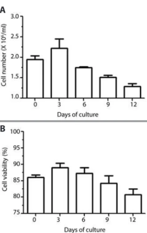 Figure 6. Counts of LG acinar cells in primary culture over  a span of 12 days, using supplemented low-glucose DMEM  and Matrigel substrate; comparative analysis of cell number  (A) and viability (B) every 3 days, from the seeding day (0)  until day 12 (n=