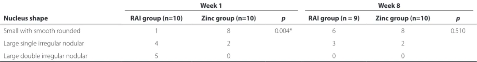table 2. Morphological parameters of rat extraorbital lacrimal glands in the rAI and zinc groups