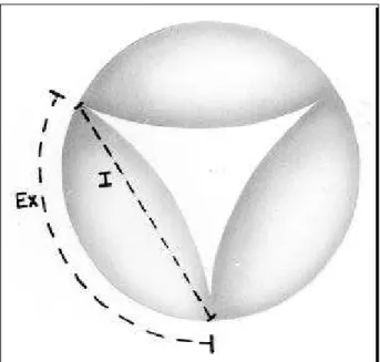 Fig. 2 – Sketch demonstrating the external (Ex) and internal (I) intercommissural distances.