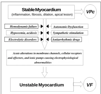 Fig. 1 – Instability of structurally abnormal myocardium through the interaction of different functional modulators, resulting in ventricular fibrillation