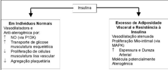 Fig. 3 – Efeitos vasculares da insulina em indivíduos normais e em pacientes com excesso de adiposidade visceral