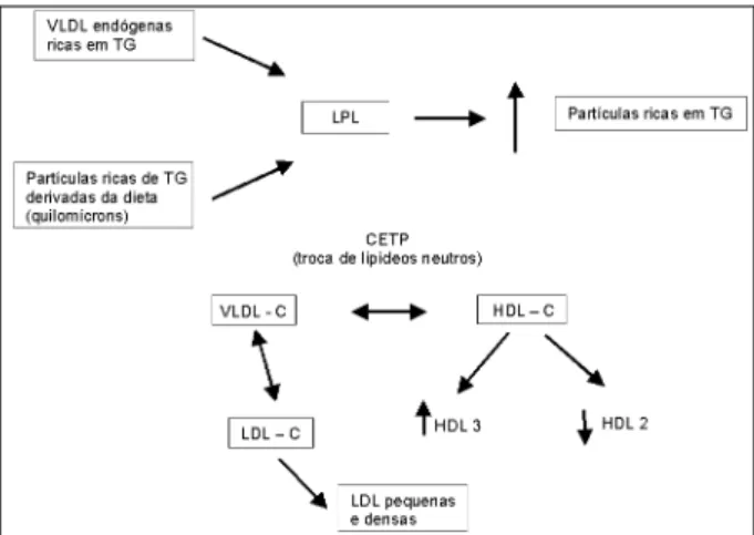 Fig. 6 - A) As partículas enriquecidas de triglicerídeos (TG) tanto endógenas (VLDL) como derivadas da dieta (quilomícrons) competem pelas moléculas de lipase lipoprotéica (LPL) da via lipolítica, contribuindo para a  hipertrigliceride-mia