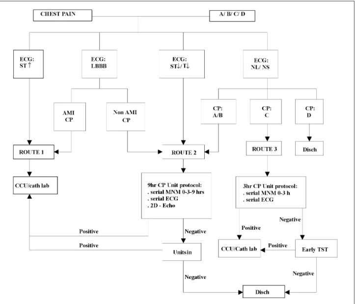 Fig. 1 - Pro-Cardiaco Hospital Diagnostic Algorithm. AMI- acute myocardial infarction; Cath lab- catheterization laboratory (if available and indicated); CCU- coronary care unit;