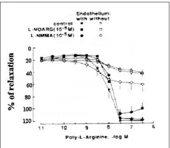 Fig. 3 - Endothelium-dependent relaxation to poly-L-arginine. Canine coronary artery segments, with and without endothelium, were contracted with prostaglandin F 2α 