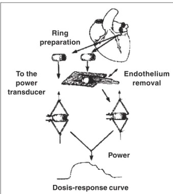 Fig. 1 -     Methodology schematic representation.