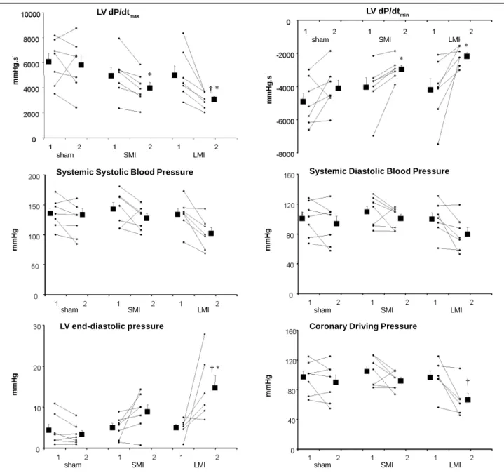 Fig. 1 - Systemic and left ventricular (LV) hemodynamic measurements of the sham, SMI, and LMI groups computed before (1) and following (2) the experiment