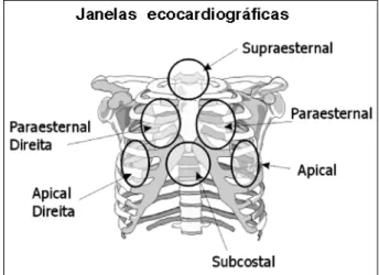Fig. 1 - Janelas ecocardiográficas.