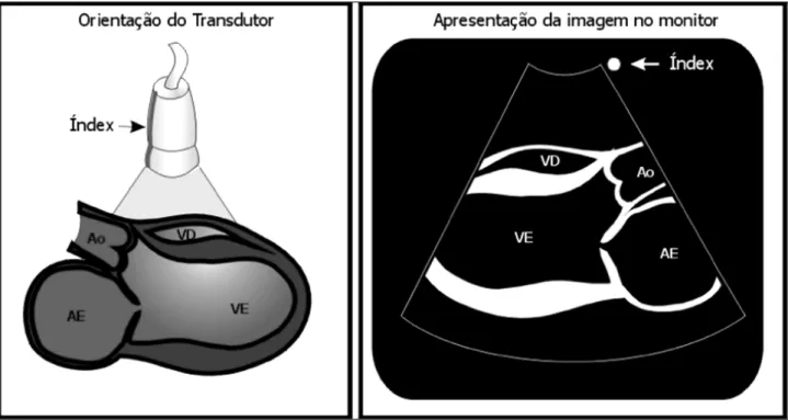 Fig. 3 - Orientação da imagem.