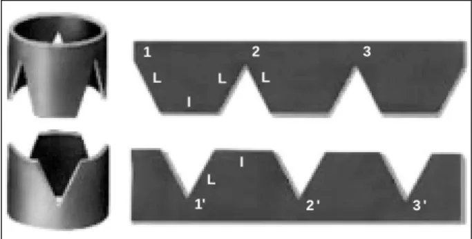 Fig. 2 - Two cylinders with the corresponding rectangles, from where 3 triangular pieces were cut, forming 3 trapezoids in specular images.