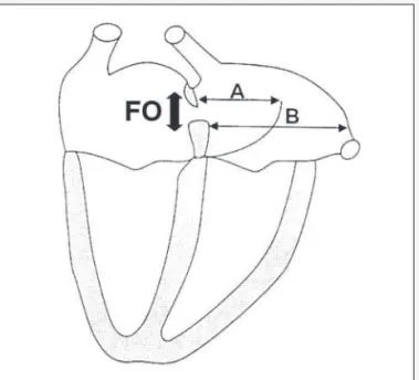Figure 3A shows the variation in the foramen ovale diameter among the 102 fetuses studied