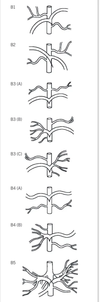Fig. 2 - Didactical classification of group B as B1, B2, B3, B4, and B5 subgroups.