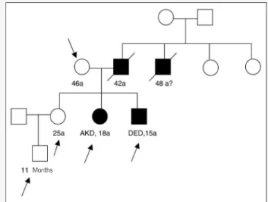 Fig. 3 – Schematic representation of mutation identified in two members of family 1, regarding the gene that codifies BMPR2 receptor