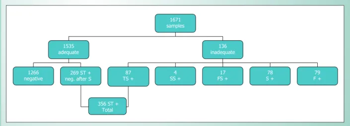 Fig. 1 - Flowchart showing the results obtained at the different stages of the process.