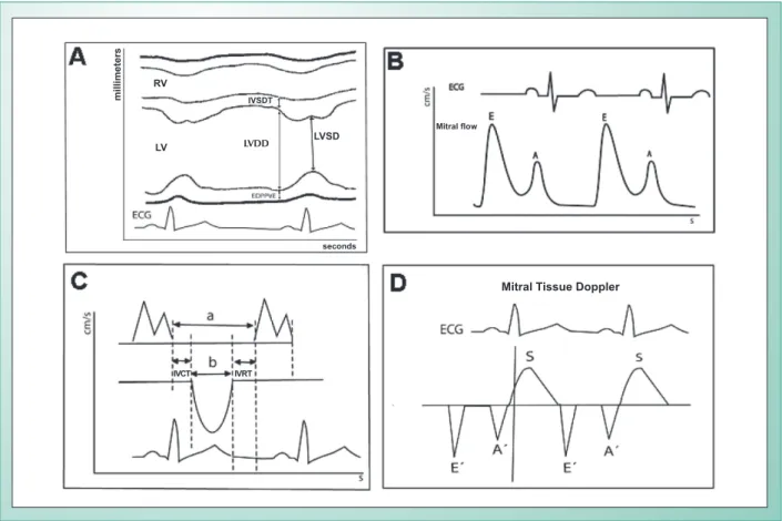 Fig. 1 - Methodological diagram of evaluation of Doppler echocardiographic parameters used in the study