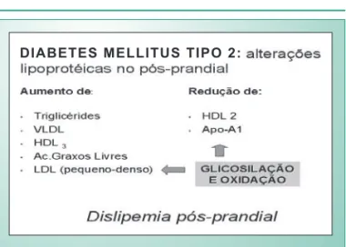 Fig. 2 - Alterações lipoprotéicas no período pós-prandial no diabetes tipo 2.