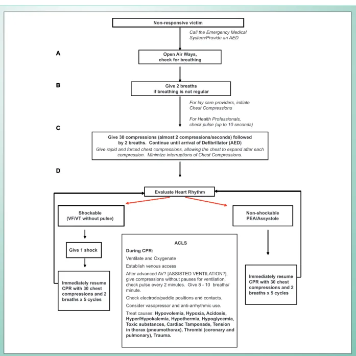 Fig. 4 - Universal algorithm for cardiorespiratory arrest management.
