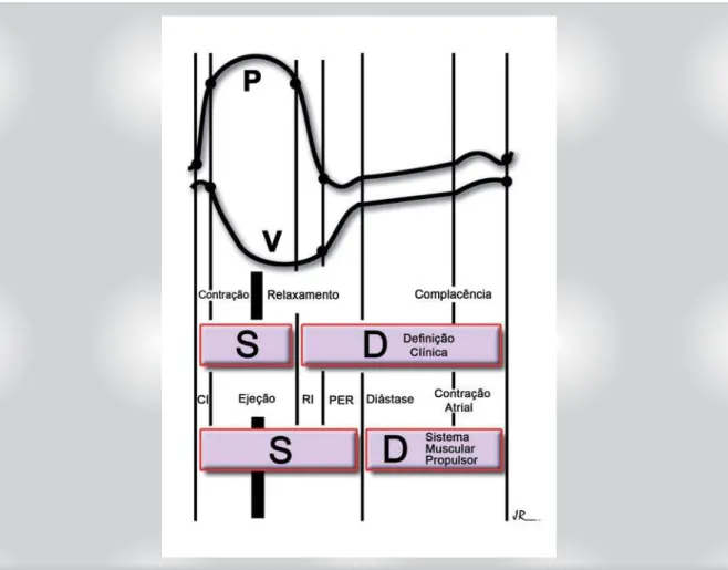 Fig. 1 - Ciclo cardíaco dividido em períodos temporais correspondentes à definição clínica e à concepção do coração como sistema muscular-propulsor,  dos eventos sistólico (S) e diastólico (D); P - curva de pressão ventricular; V - curva de volume ventricu