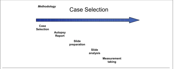 Fig. 1 - Methodology used in case selection.