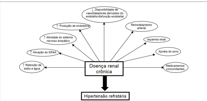 Fig. 5 - Mecanismos isiopatológicos entre doença renal crônica e hipertensão arterial refratária