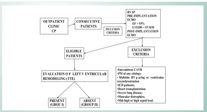 Fig. 1 - Study design. CP - Cardiac pacing; RVAP - right ventricular apical pacing; ECHO - echocardiogram; CAVB - complete atrioventricular block; PM - pacemaker; 