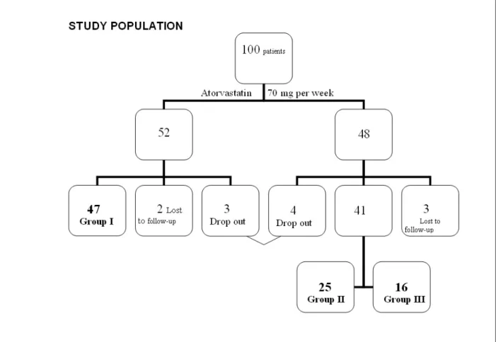 Fig. 1 - Flow chart of all patients who participated in the study (more details in text).