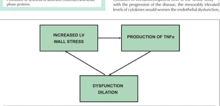 Table 1 – In vitro cytokine actions on the cardiovascular system