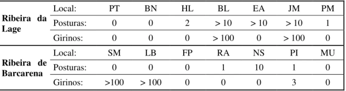 Tabela 4. Observação de posturas e girinos de Xenopus laevis nos locais amostrados das ribeiras da Lage e de  Barcarena  (Ribeira  da  Lage:  PT  -  Ponte  Talaíde;  BN  -  Bairro  dos  Navegadores,  HL  -  Hortas  da  Lage;  BL  -  Bairro  da  Lage;  EA  