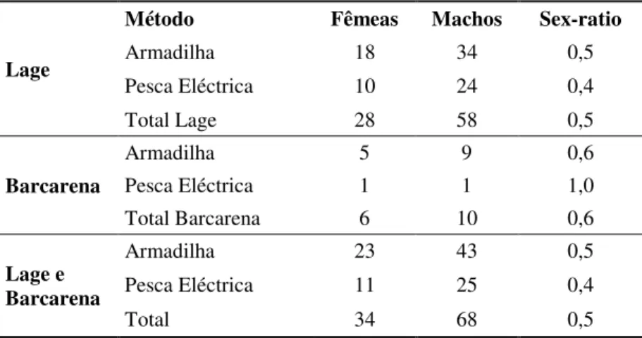 Tabela  8.  Número  de  indivíduos  de  X.  laevis  capturados  nas  ribeiras  da  Lage  e  de  Barcarena,  através  de  armadilha e pesca eléctrica, com distinção entre sexos e indicação do sex-ratio
