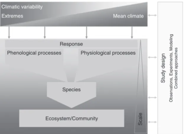 Fig. 2 Conceptual overview of the different processes and scales affected by extremes and the study designs to assess them.