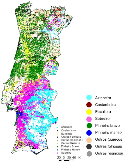 Figura  3  –  Mapa  de  distribuição  das  principais  espécies  florestais em Portugal Continental (ICNF, 2013) 