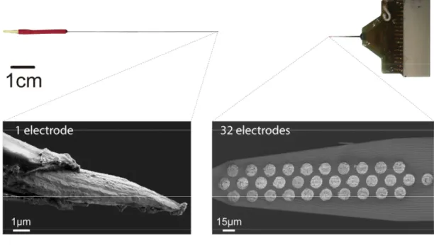 Figure 2.9 Extracellular neural probes are fabricated with increasing number of electrodes to capture the activity  of increasing number of neurons