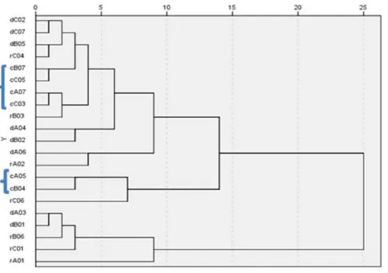 Figure 5. Cluster analysis for the nine components of aroma and taste items considering all wines and types
