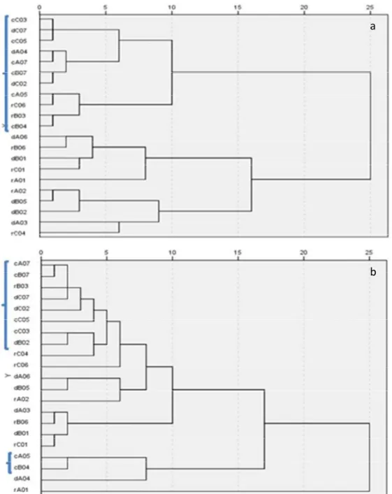Figure 2. Cluster analysis for “Typicality” (a) and for “All items” (b) considering all wines and types - Lowercase letters “r”, “d” and “c” before  each alphanumeric wine code, refers to wine type and means Regional, PDO and “Clássico”, respectively