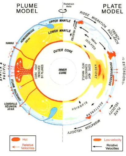 Figure 2.24 –  The plume and plate models represented schematically in a cross-section of the Earth (from  Anderson, 2005)