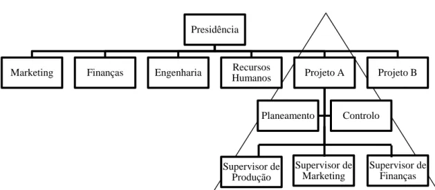 Figura 6 - Estrutura por Projetos 