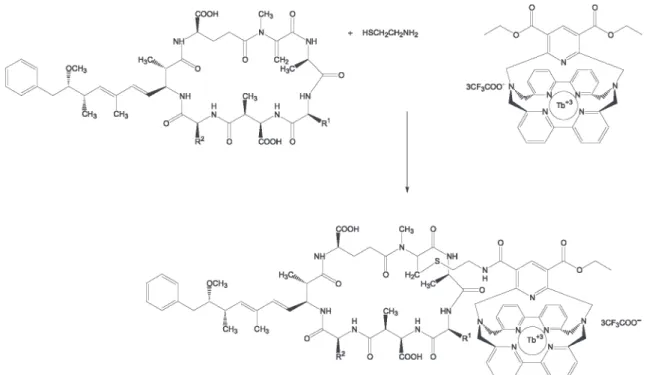 Figure 7. Microcystin-LR terbium cryptate conjugation reactions.