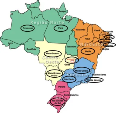 Figura 4 – Amostra formada por 12 Estados do Brasil e o Distrito Federal  Fonte: Elaboração própria