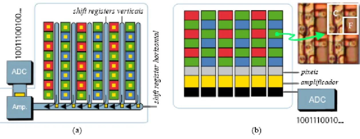 Figura 3.4: Sensores (a) CCD (b) CMOS