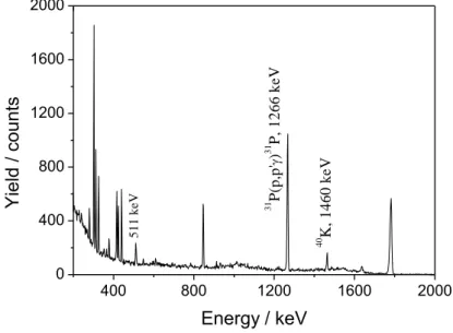 Figure  2  shows  a  spectrum  of  gamma  radiation  obtained  for  a  proton  energy  of  3.11  MeV,  where  the  gamma  peak  pertaining  to  the  31 P(p,p 1-0 ) 31 P  reaction  is  clearly  seen  together with two well known reference gamma rays