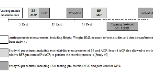 Figure 1. Schematic representation of both studies: study #1 and #2. Anthropometric measurements were common 