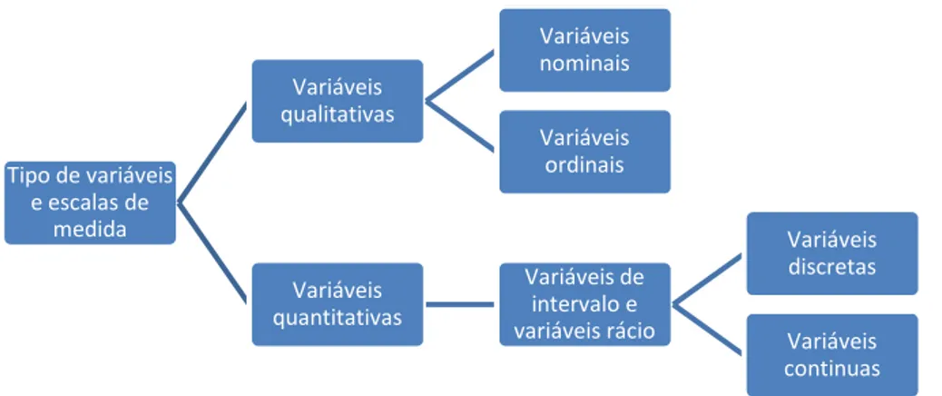Figura 2 – Tipo de variáveis 