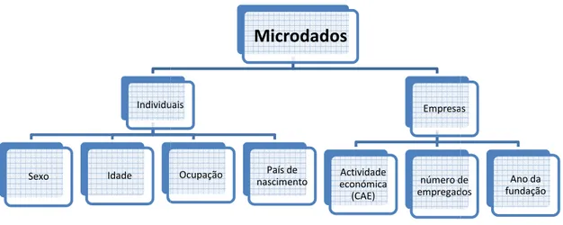 Figura 3 – Tipo de microdados